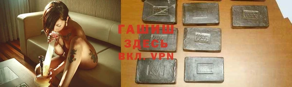 твердый Новозыбков